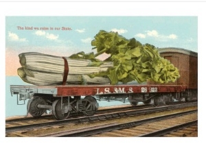 Giant Celery on Flatbed