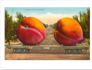 Giant Peaches on Flatbed