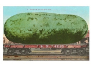 Giant Watermelon on Flatbed