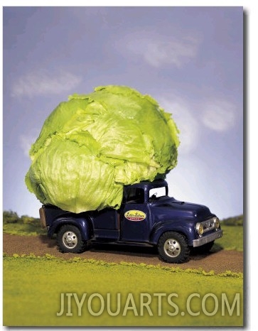 Lettuce in Bed of Miniature Truck