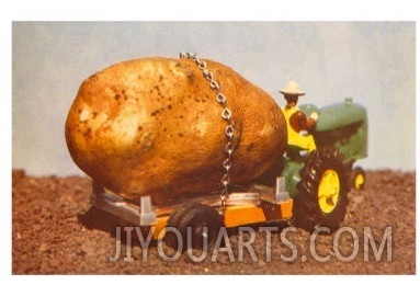 Potato on Toy Tractor