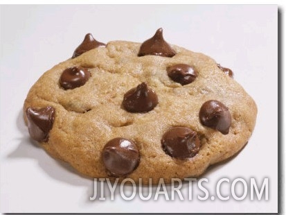 Chocolate Chip Cookie on White Background