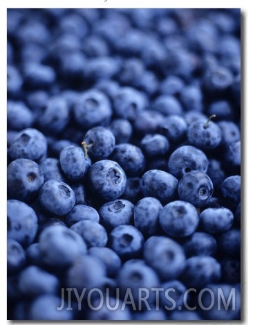 Blueberries (Filling the Picture)