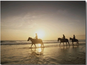 Horseback Riders Silhouetted on a Beach at Twilight, Costa Rica