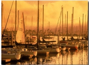Docked Sailboats, San Diego Harbor, CA