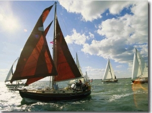 Red Sailed Sailboat and Others in a Race on the Chesapeake Bay