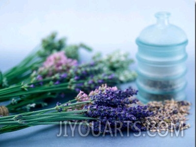 Cut Lavender, Dried Lavender & Glass Pot