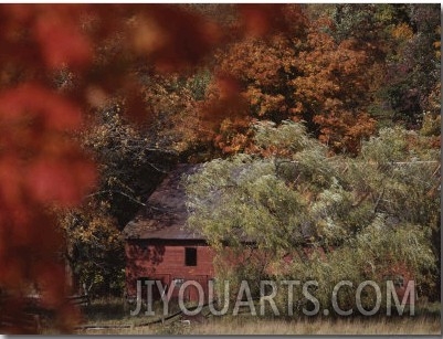 Blazing Autumn Color Surrounds a Barn