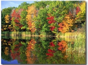 Fall Reflections, Sherman Lake, ME