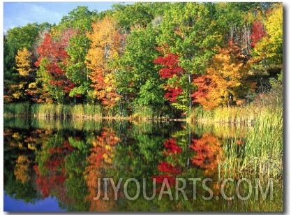 Fall Reflections, Sherman Lake, ME