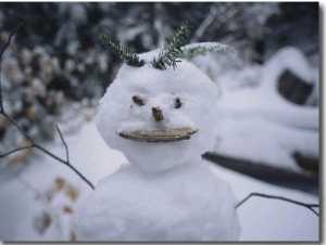 A Smiling Snowman with Twig Arms