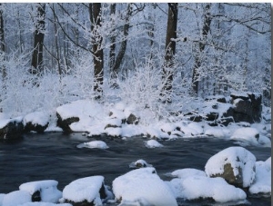 A Stream Running Through Snowy Woodland