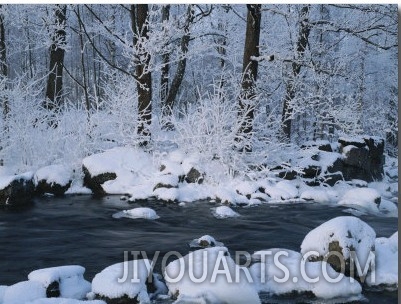 A Stream Running Through Snowy Woodland