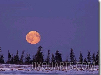 An Orange Full Moon Rises over a Snowy Landscape