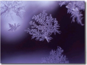 Snowflakes on Window