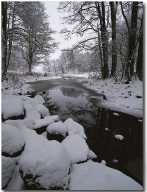 Winter Scene of Creek with Snow Covered Banks