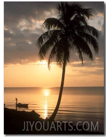 Sunrise with Man in Boat and Palm Tree, Belize