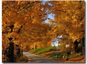 Country Road in Autumn, USA