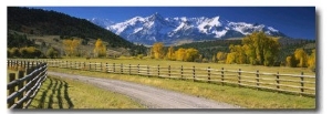 Fence along a Road, Sneffels Range, Colorado, USA