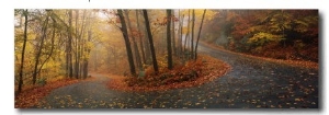 Winding Road Through Mountainside in Autumn, Monadnock Mountain, New Hampshire, USA