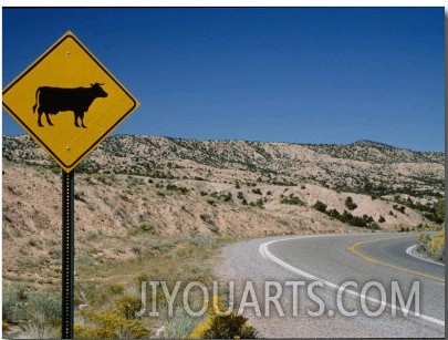 A Stretch of Road in New Mexico with a Yellow Cattle Crossing Sign