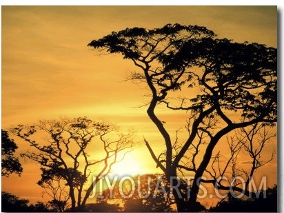 Botswana, Kalahari Desert, Sunset