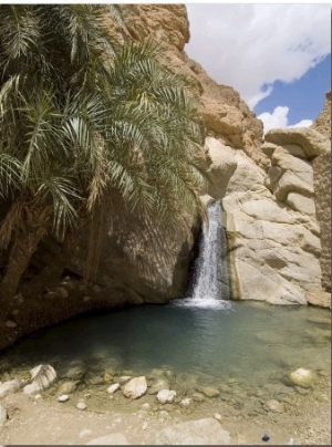 Desert Oasis, Chebika, Tunisia, North Africa, Africa