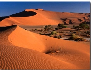 Namib Sand Dunes, Nambia Desert Park, Namib Desert Park, Erongo, Namibia
