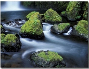 Water Below Wahclella Falls, Columbia River Gorge National Scenic Area, Oregon, USA
