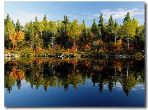 Autumn Foliage Reflected in a Canadian Lake