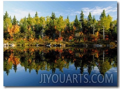 Autumn Foliage Reflected in a Canadian Lake