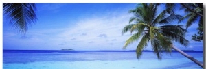Ocean, Island, Water, Palm Trees, Maldives