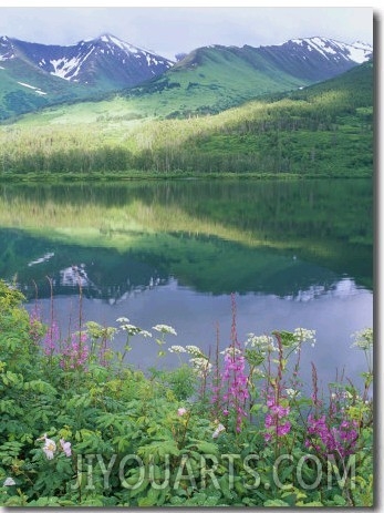 Summit Lake, Sunbeam on Forest, Firewee, Chugach National Forest, Alaska