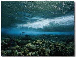 Underwater View of a Wave Breaking over a Reef