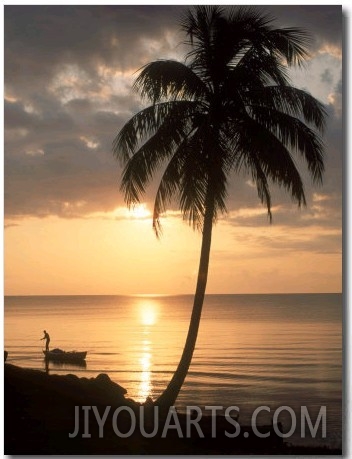 Sunrise with Man in Boat and Palm Tree, Belize