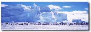 Emperor Penguin Colony, Ruser Larsen Ice Shelf, Weddell Sea, Antarctica