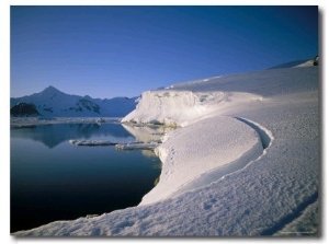 Ice Front, Adelaide Island, Antarctica, Polar Regions