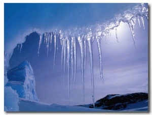Icicles Hanging from Iceberg Near Browning Peninsula, Wilkes Land, Antarctica