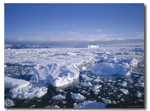 Sea Ice and Iceberg, Antarctica, Polar Regions