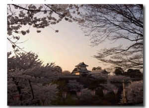 Sunset, Cherry Blossom, Kanazawa Castle, Kanazawa City, Ishigawa Prefecture, Honshu Island, Japan