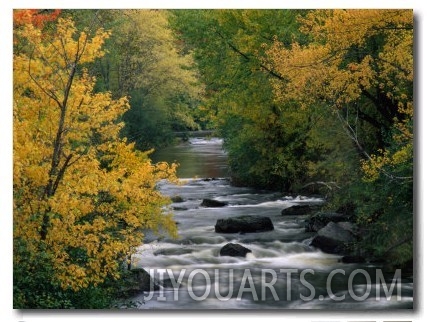 Autumn Colours on the Banks of the Rue River, Quebec, Canada