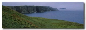 Grass on an Island, Elliston, Bonavista Peninsula, Newfoundland and Labrador, Canada