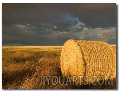 Landscape and Hay Roll in Alberta, Canada