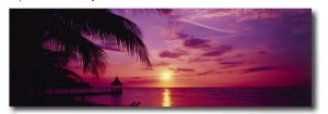 Sunset, Palm Trees, Beach, Water, Ocean, Montego Bay Jamaica