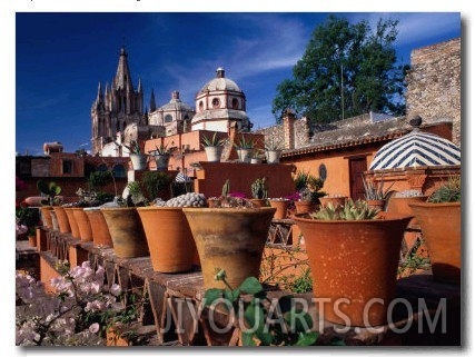 Pots of Cacti, San Miguel De Allende, Guanajuato, Mexico