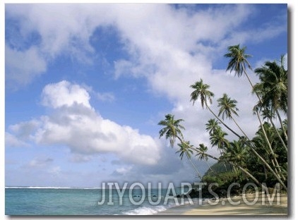 Palm Trees and Sea, Lalomanu Beach, Upolu Island, Western Samoa