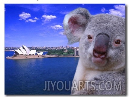 Portrayal of Opera House and Koala, Sydney, Australia
