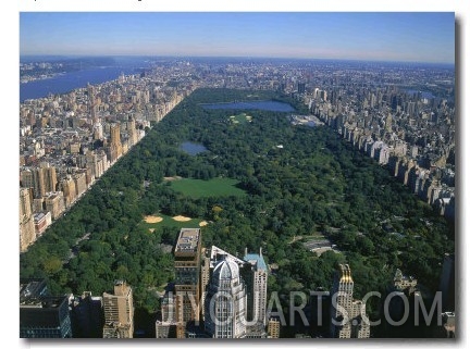 Aerial View of Central Park, NYC