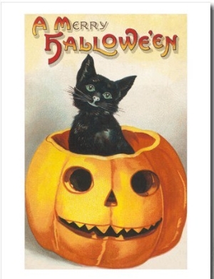 A Merry Halloween, Cat in Jack O