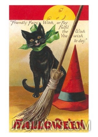 Halloween, Cat and Broom